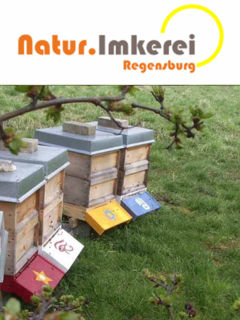 Natur.Imkerei Regensburg - Logo mit Bild