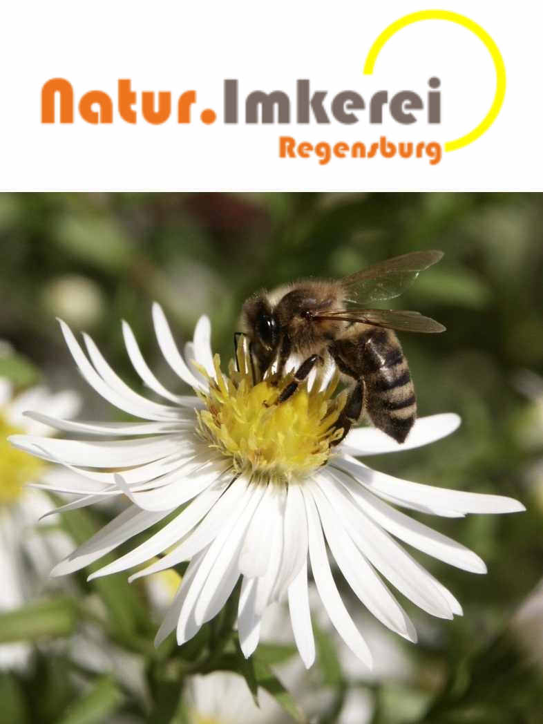 Natur.Imkerei Regensburg - Logo mit Bild
