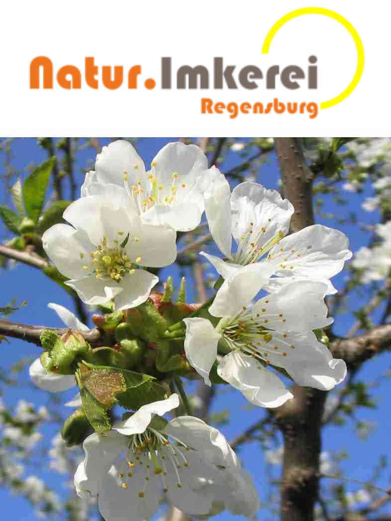 Natur.Imkerei Regensburg - Logo mit Bild