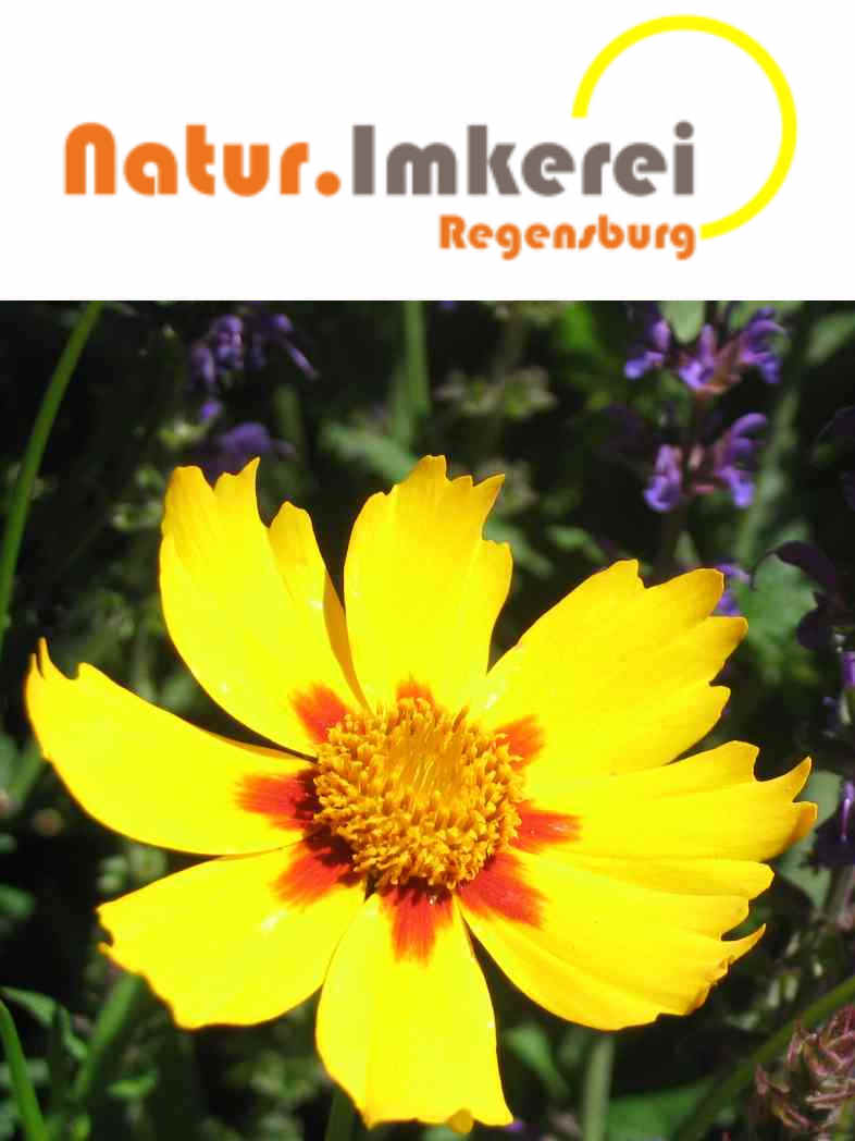 Natur.Imkerei Regensburg - Logo mit Bild