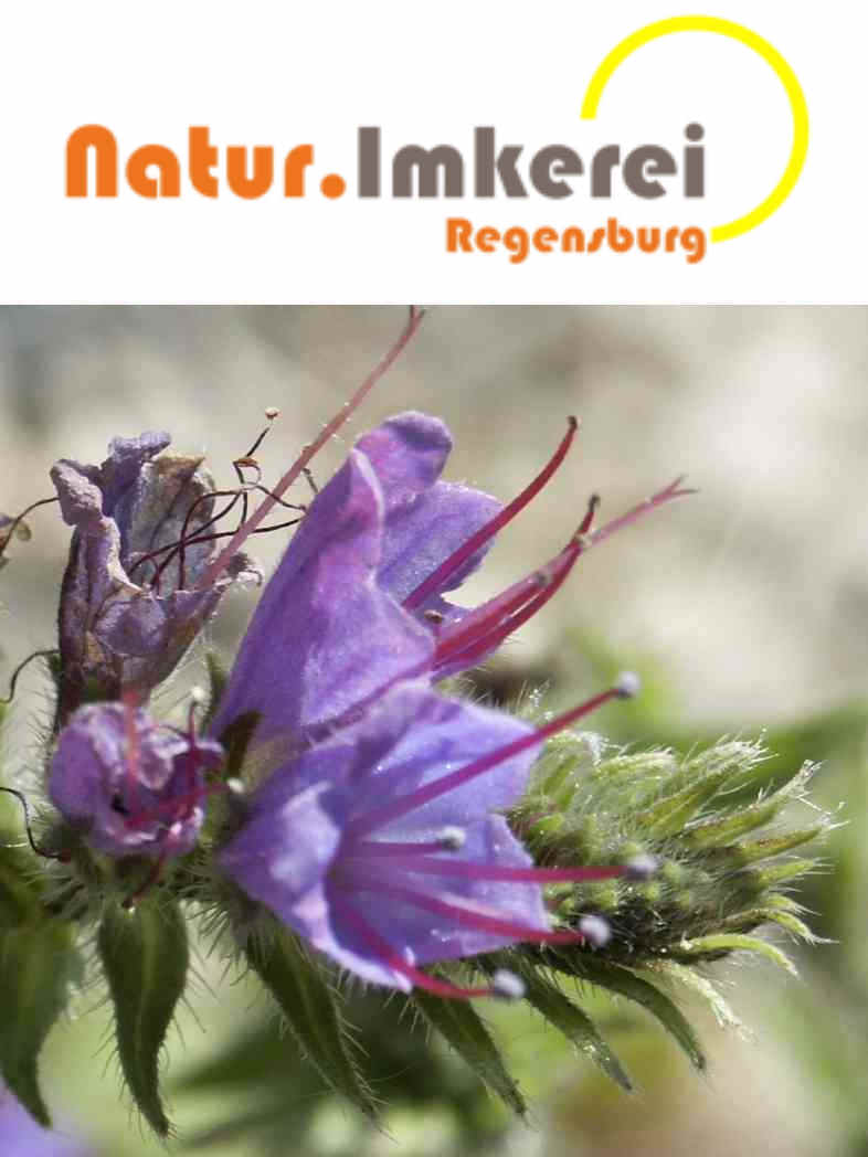 Natur.Imkerei Regensburg - Logo mit Bild